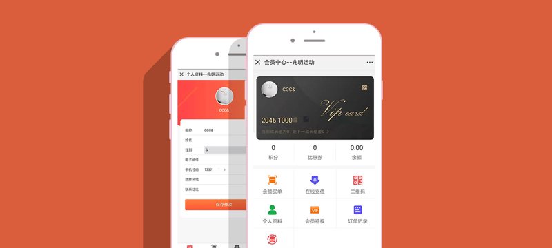 定制进销存系统：让企业运营如虎添翼
