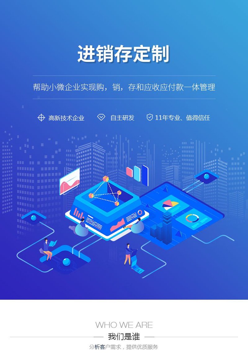 定制进销存系统：构建高效管理新引擎